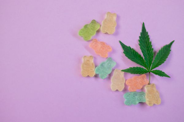 Best hemp gummies